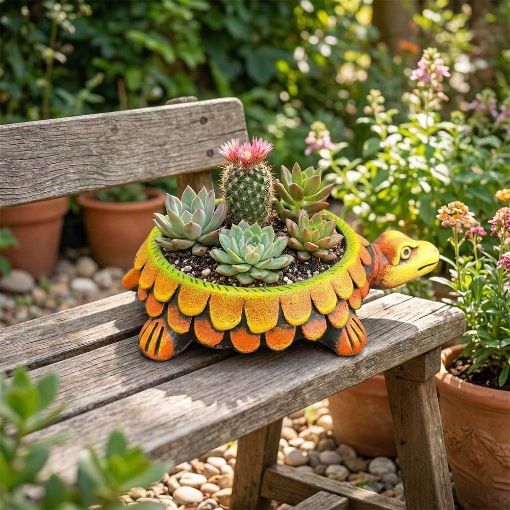 turtle succulent holder Longevity Turtle Succulent Planter – Madhues