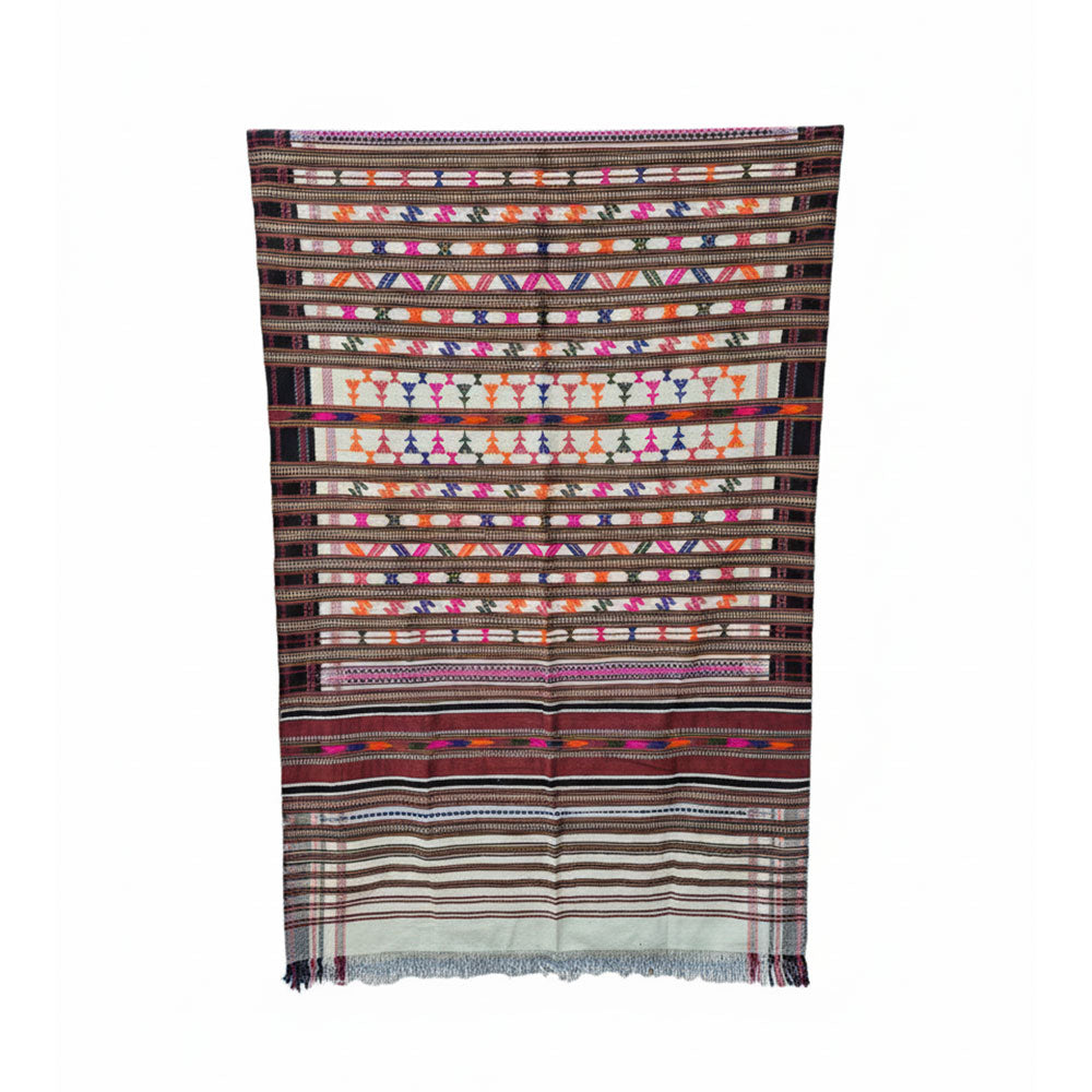 Vibrant Multi-Motif Heritage Handwoven Pattu Shawl