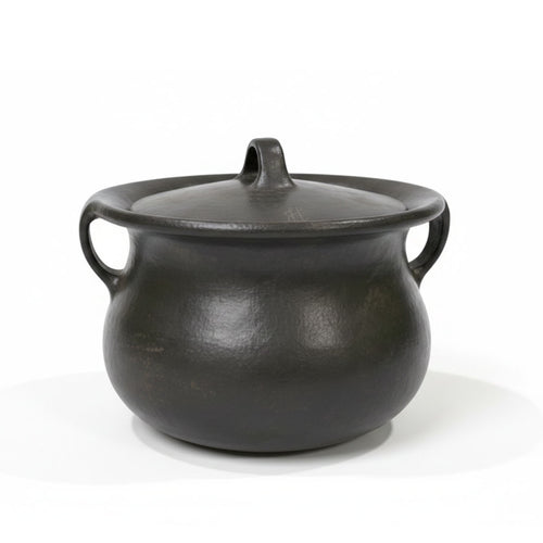 Black pot with lid on a white background