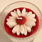 Elegant Daisy Blossom Scented Candle in Glass Cup