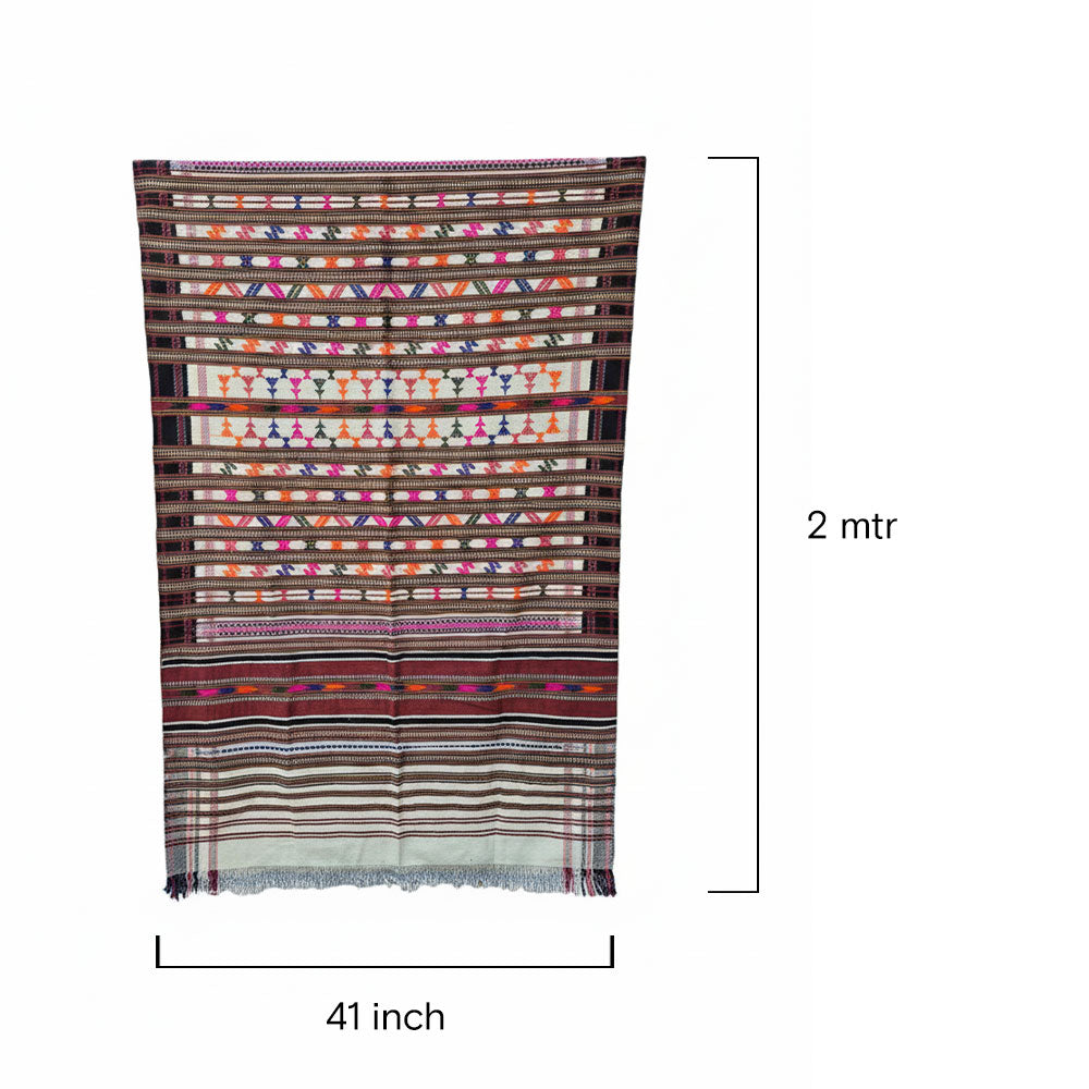 Vibrant Multi-Motif Heritage Handwoven Pattu Shawl