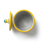 Artisanal Yellow & Blue Floral Blue Pottery Jar with Lid Set of 3