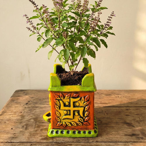 Decorative planter with a plant on a wooden surface
