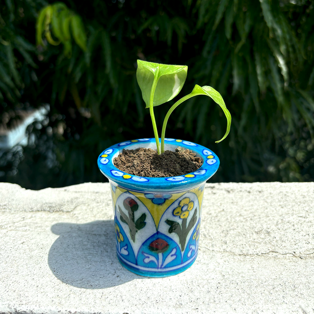 Jaipur Blue Pottery Floral Planter