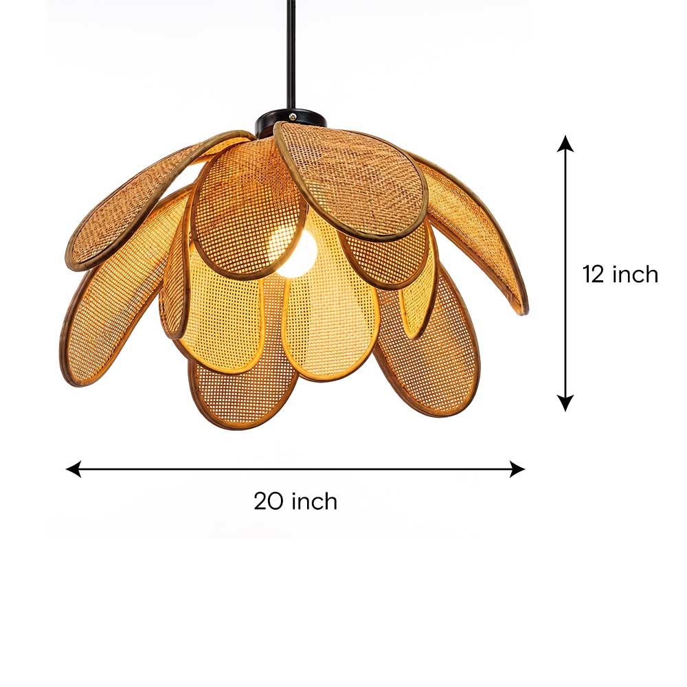 Dimensional schematic showing 20 inch width by 12 inch height of sugarcane pendant light