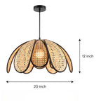 Dimension diagram for 20-inch width and 12-inch height sugarcane petal chandelier