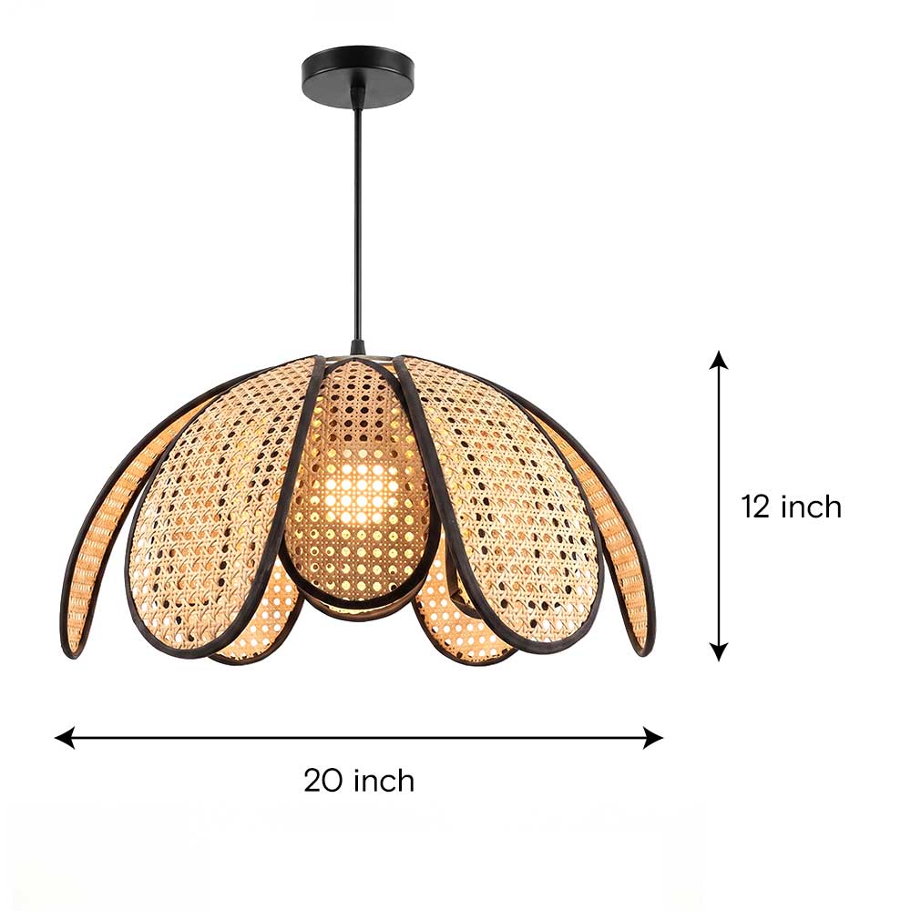 Dimension diagram for 20-inch width and 12-inch height sugarcane petal chandelier